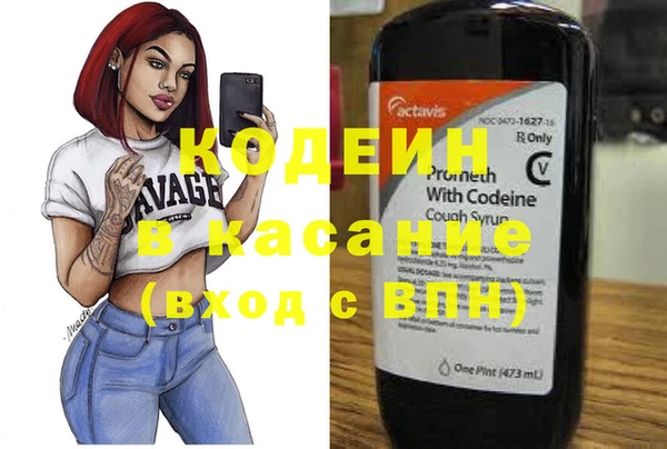 прущие грибы Няндома