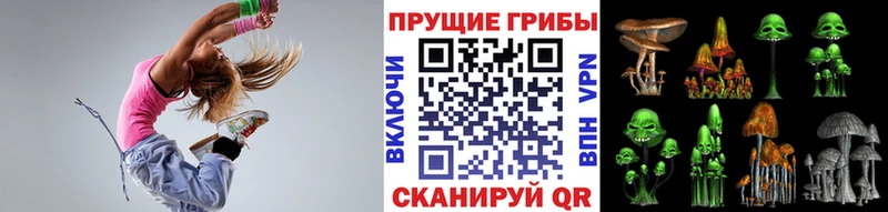 Галлюциногенные грибы Cubensis  Амурск 