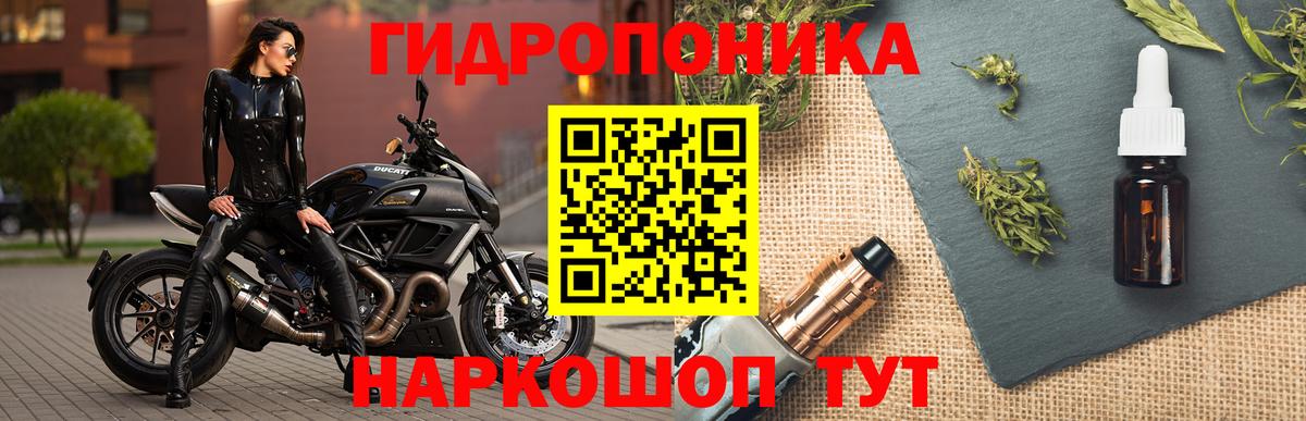 Канабис гибрид  Каннабис план  Амурск  Каннабис планчик 